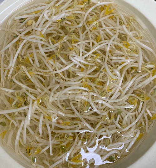 숙주