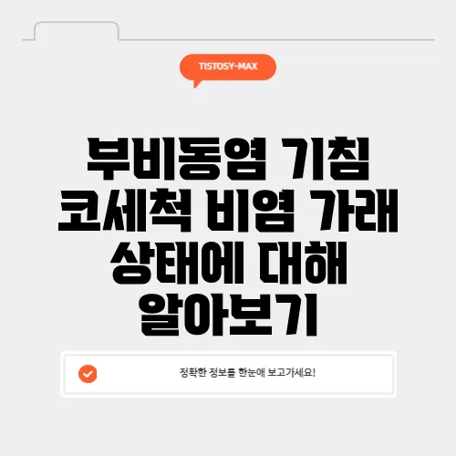 부비동염 기침 코세척 비염 가래 상태에 대해 알아보기