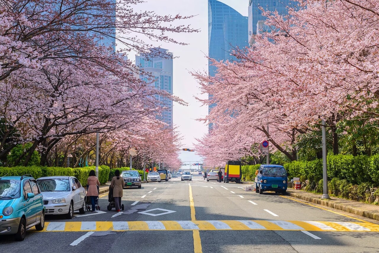 계절별 여행지 추천 관련 이미지