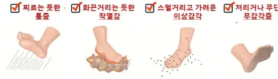 초고함량비타민-벤포티아민