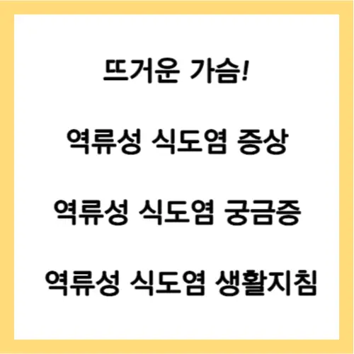 역류성 식도염 증상