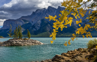 캐나다-여행-비자