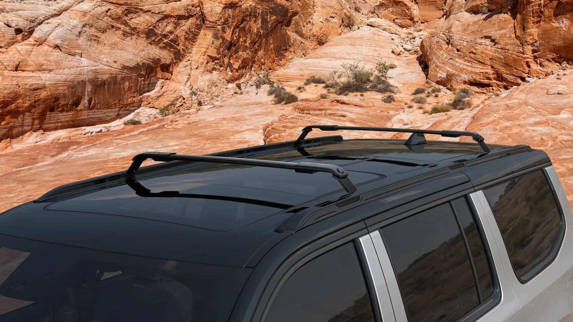 왜고니어 오버랜드 스페셜 에디션 이미지