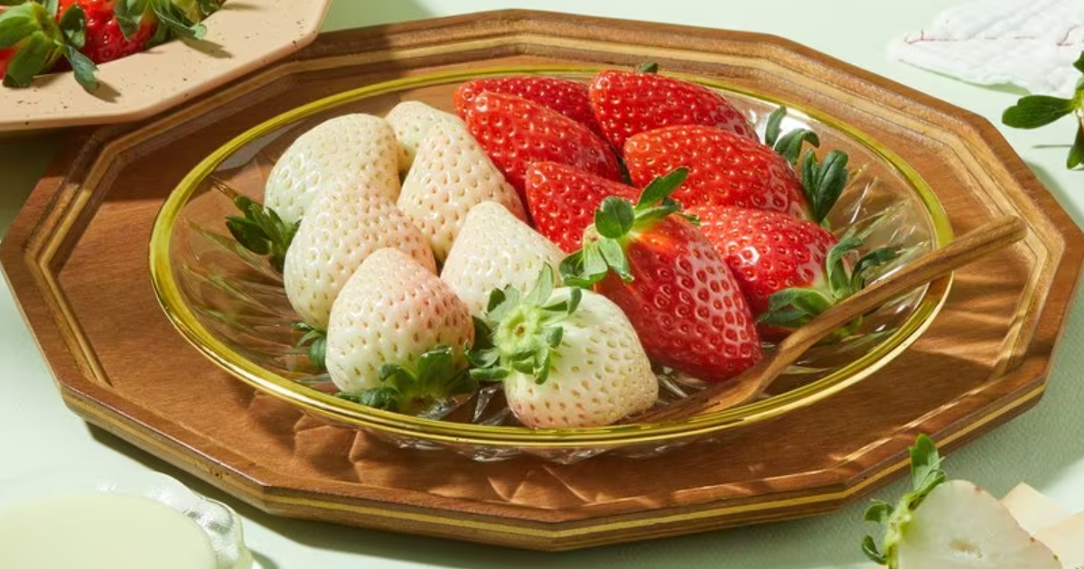 이마트 SSG 30주년 딸기 세일