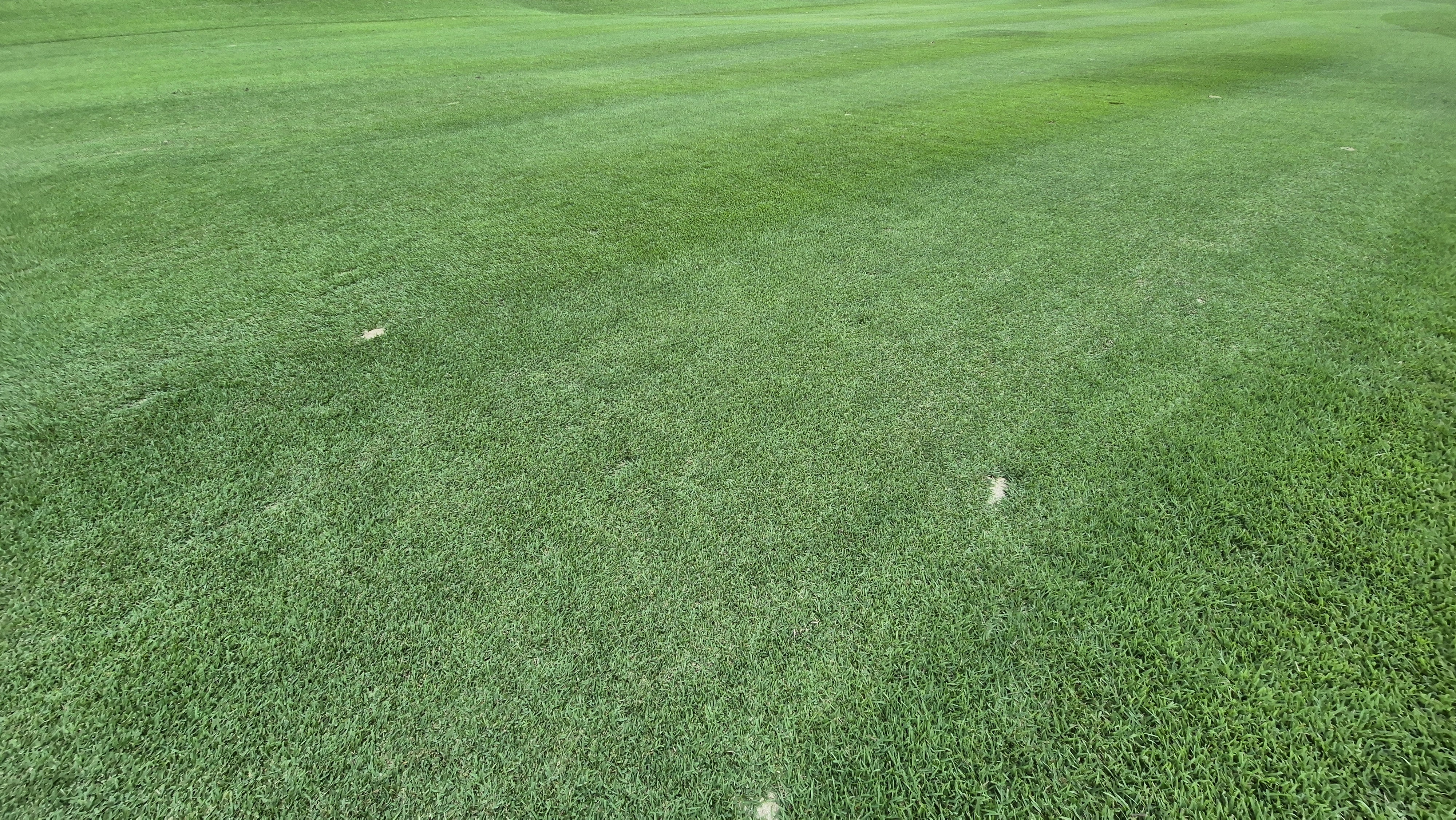 한성cc 오렌지-그린 코스 라운드 후기