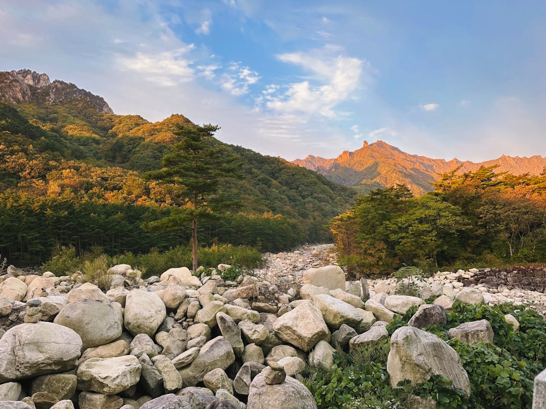 Gangwon.