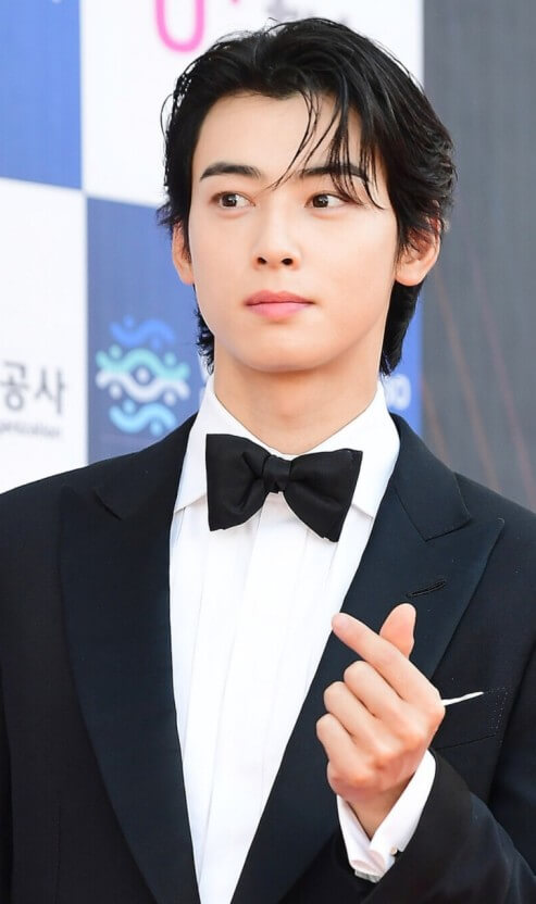 차은우 시상식