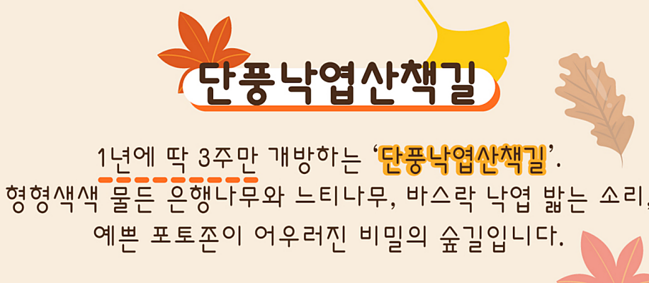 베어트리파크 단풍축제 일정 및 입장료 온라인 예매, 주차장