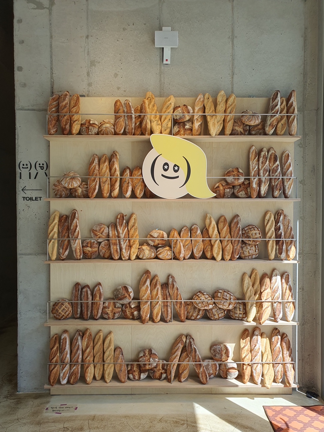 제주 구좌 송당무끈모루 안돌오름 밧돌오름 웨딩포토존 웨딩촬영 대형베이커리 카페 안도르 andor 인생샷