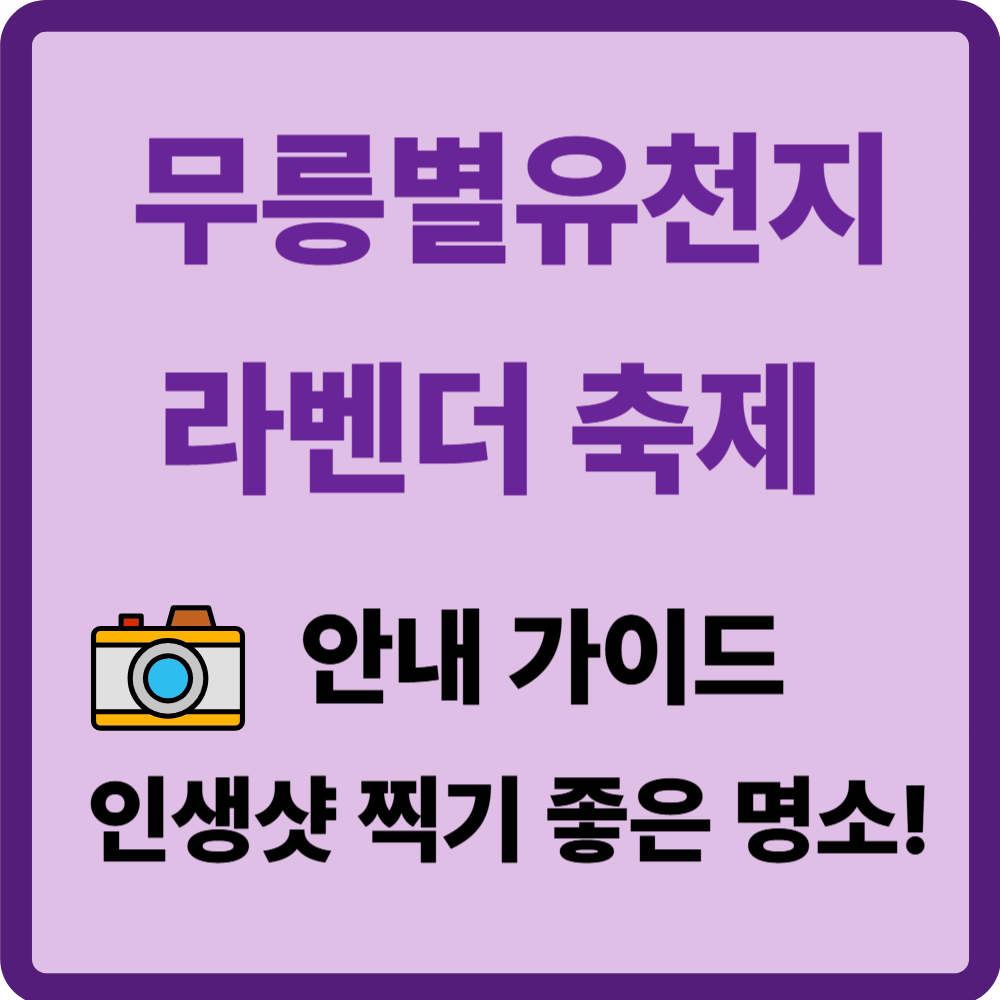 무릉별유천지 라벤더 축제
