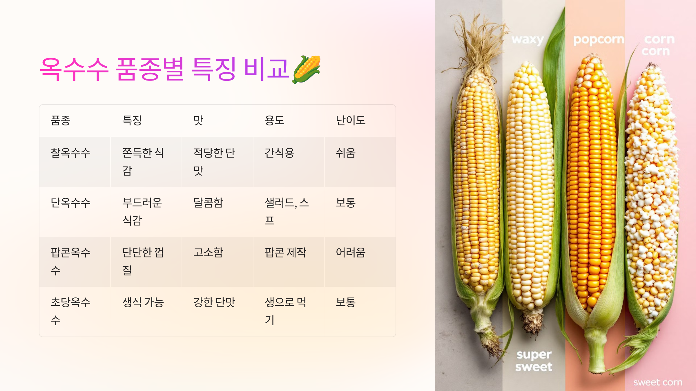 옥수수 품종별 특징 비교🌽