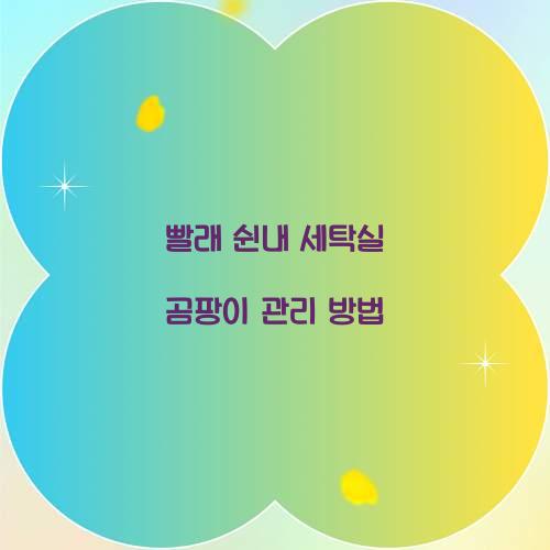 빨래 쉰내 세탁실 곰팡이 관리 방법 