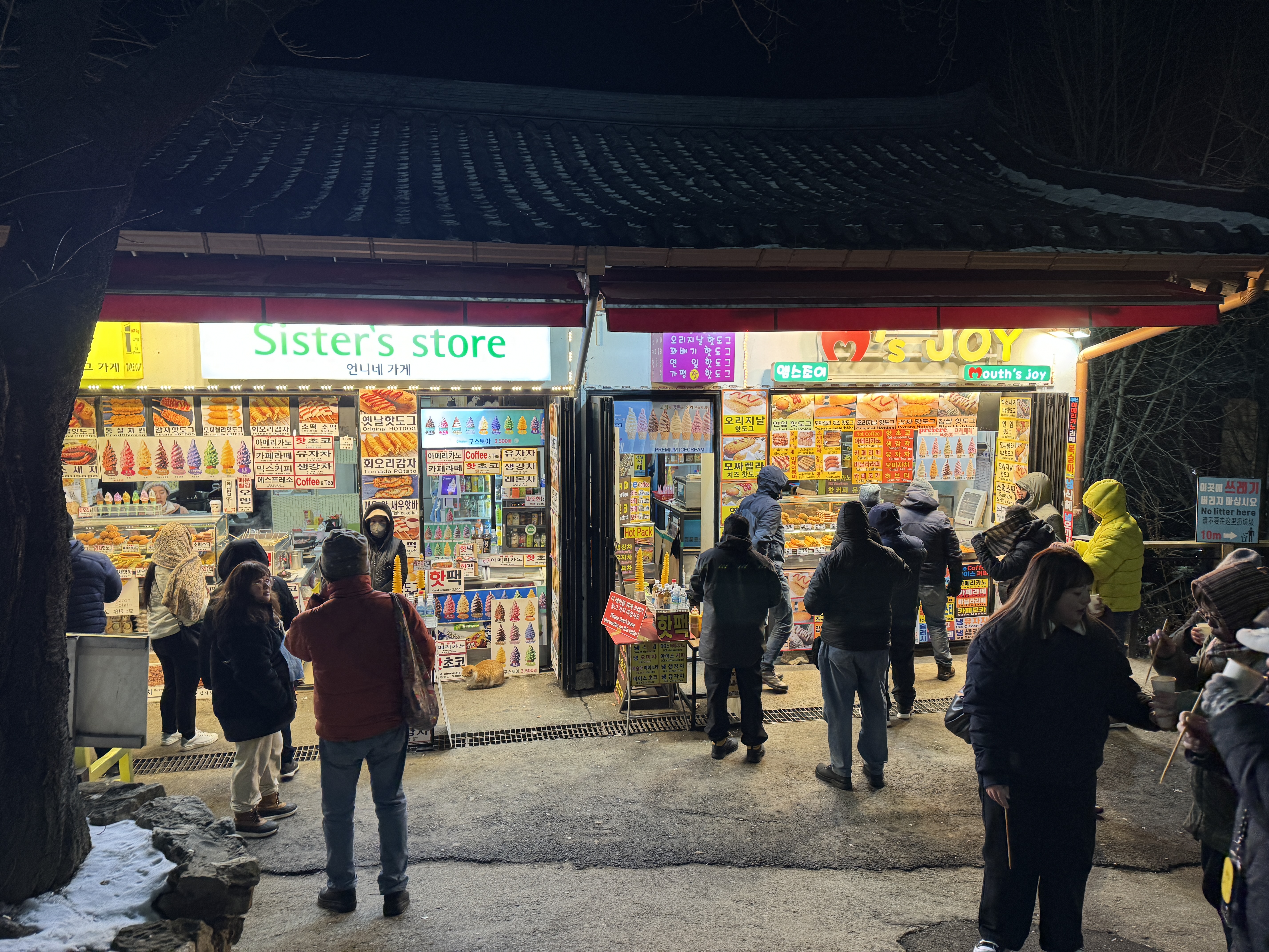 아침고요수목원