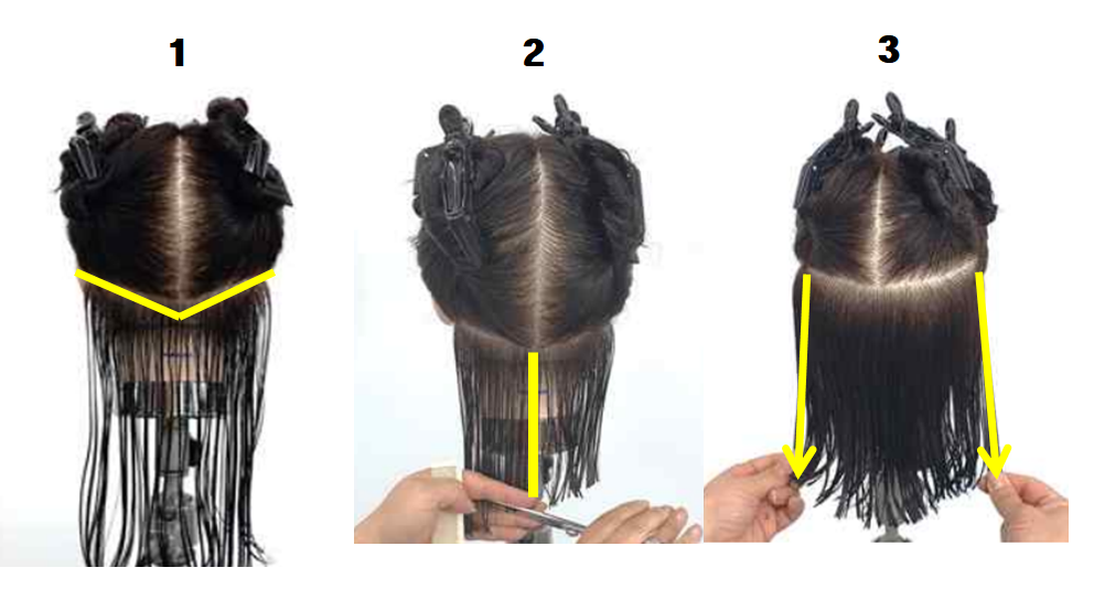 이사도라커트의 시술과정1