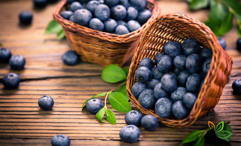 신선한 블루베리가 가득 담긴 두 개의 바구니가 나무 테이블 위에 놓여있고, 블루베리들이 바구니에서 흘러나와 주변에 흩어져 있는 모습 via canva