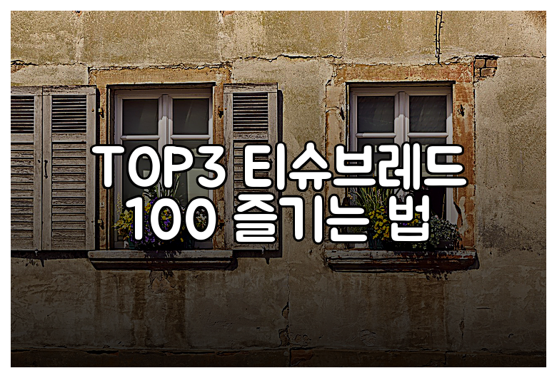 TOP3 티슈브레드 100 즐기는 법