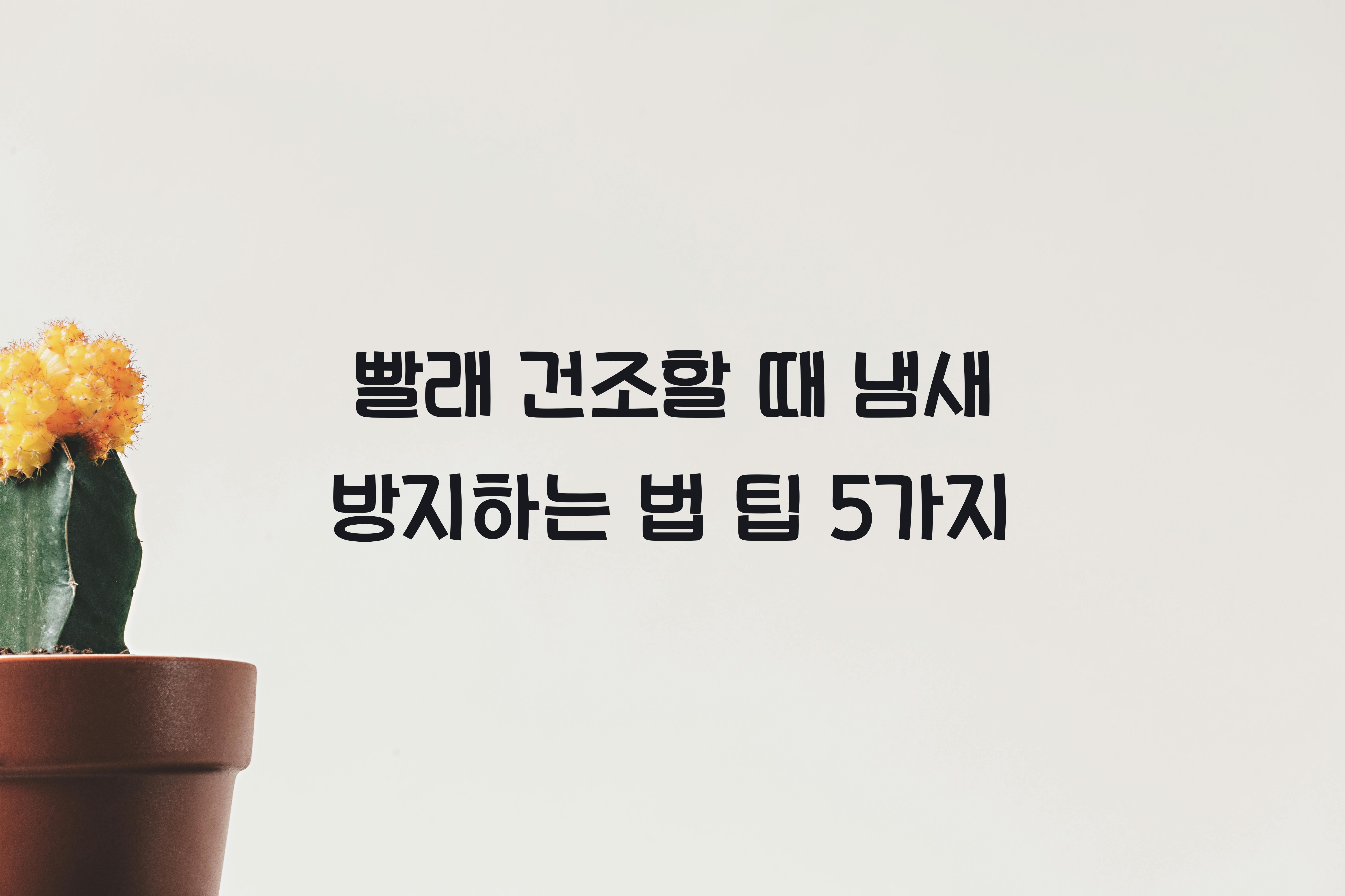 빨래 건조할 때 냄새 방지하는 법