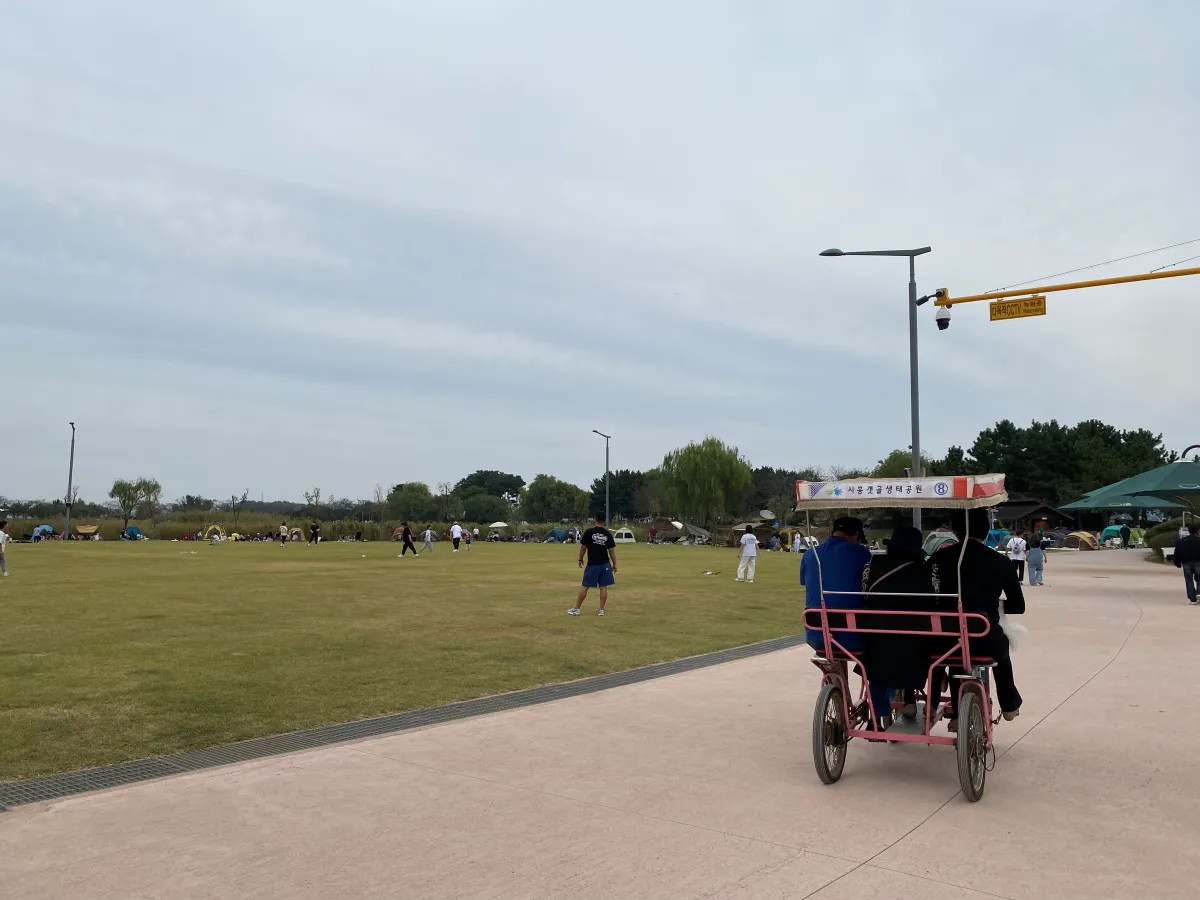 서울-근교-나들이-가볼만한곳-추천-억새-코스모스-시흥갯골생태공원-무료-주차-꿀팁