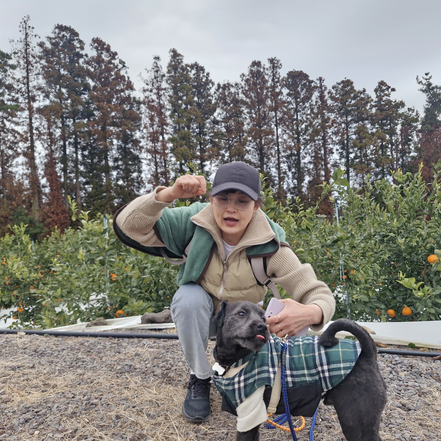 강아지 침대,쇼파에서 땅파기행동하는 진짜이유 7가지