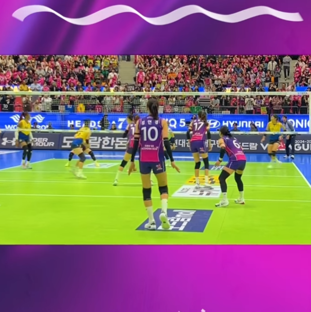 흥국생명 배구단