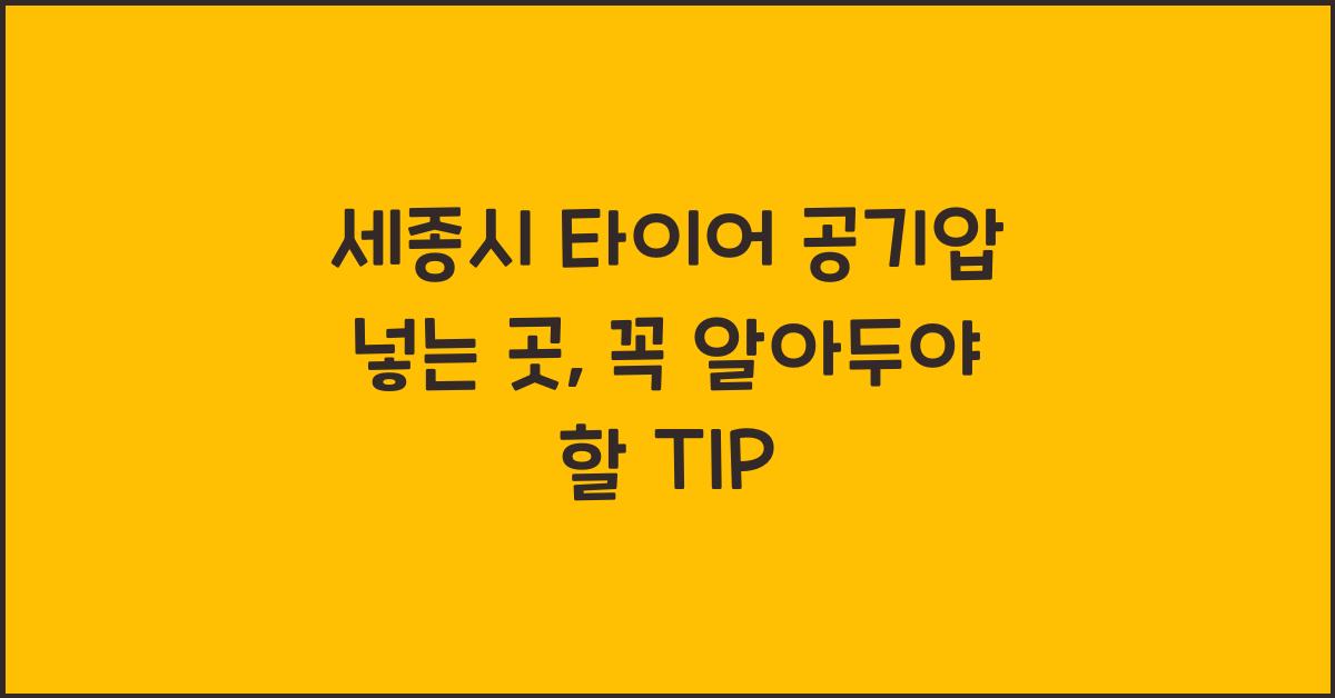 세종시 타이어 공기압 넣는 곳
