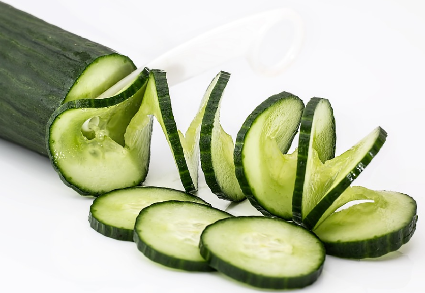 오이 관련 사진