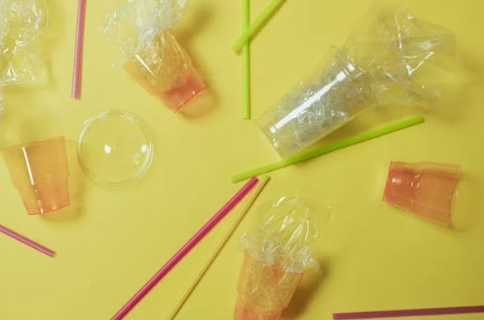 대체재로서 친환경 컵의 가능성: 종이컵, 생분해성 플라스틱 컵, 다회용 컵의 장단점 비교