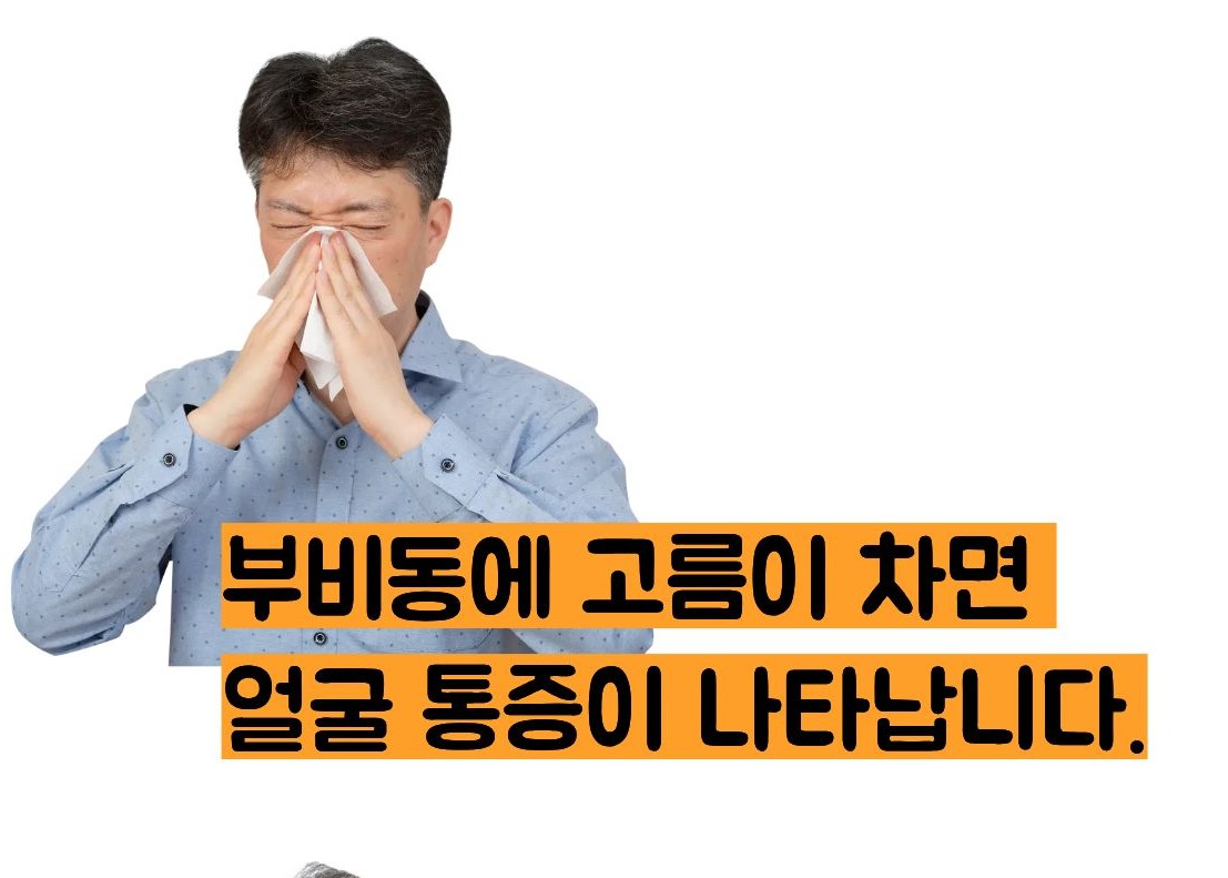부비동염 증상