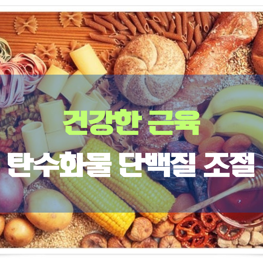 건강한 근육을 위한 탄수화물과 단백질 조절