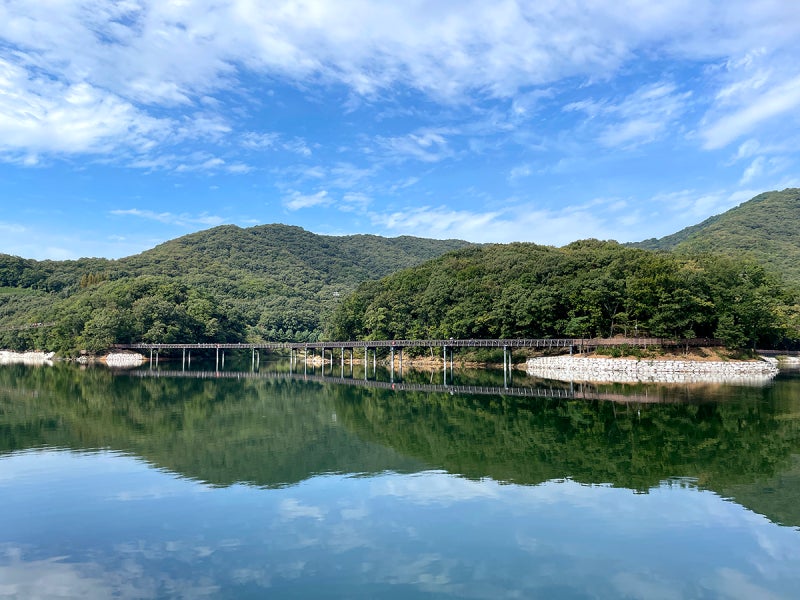 경기도 파주 마장호수출렁다리 소개