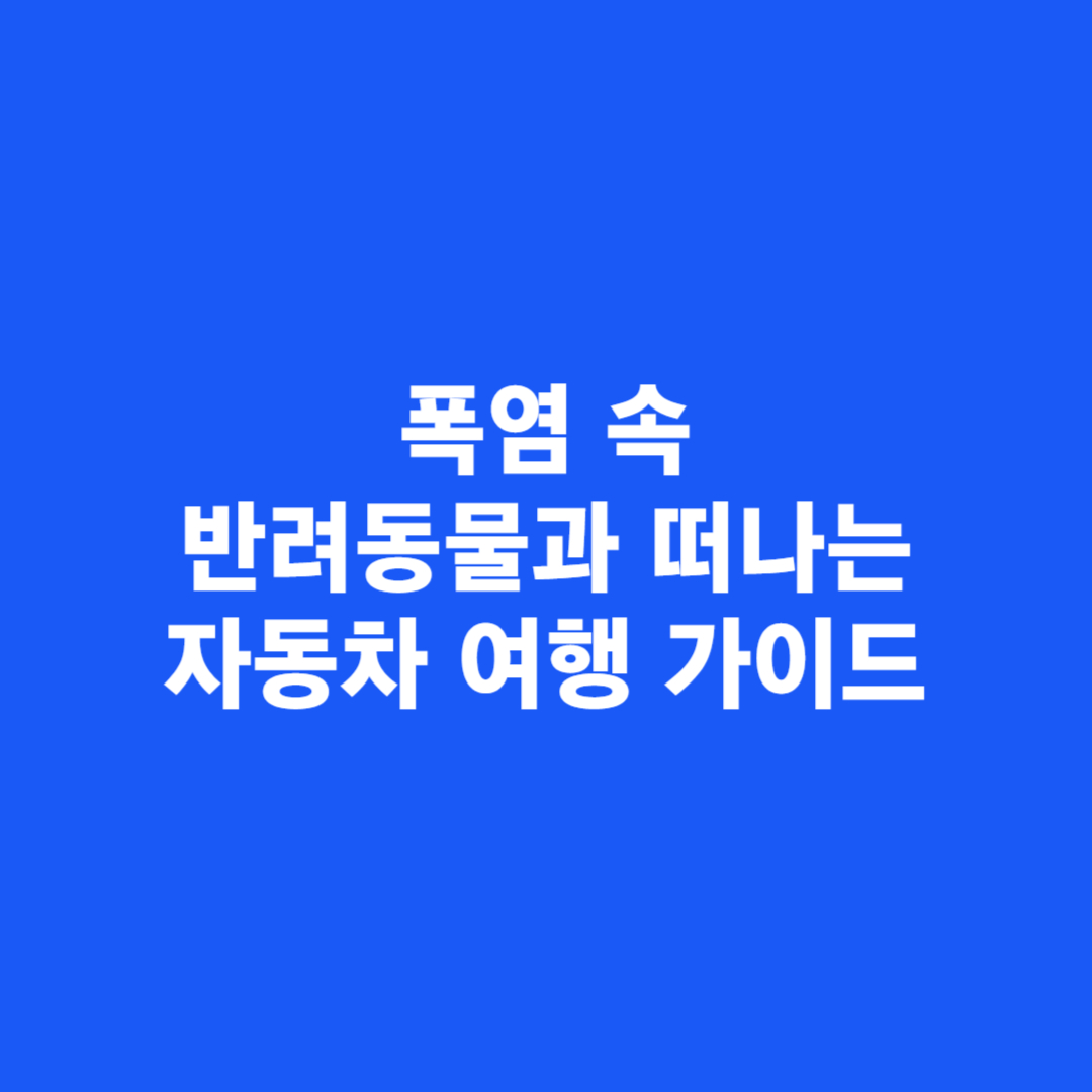 폭염 속 반려동물과 떠나는 자동차 여행 가이드
