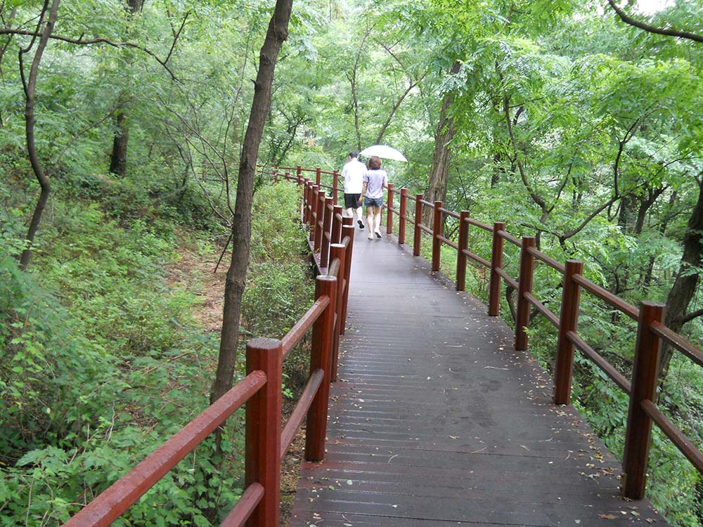 서대문구 안산자락길 우중산책