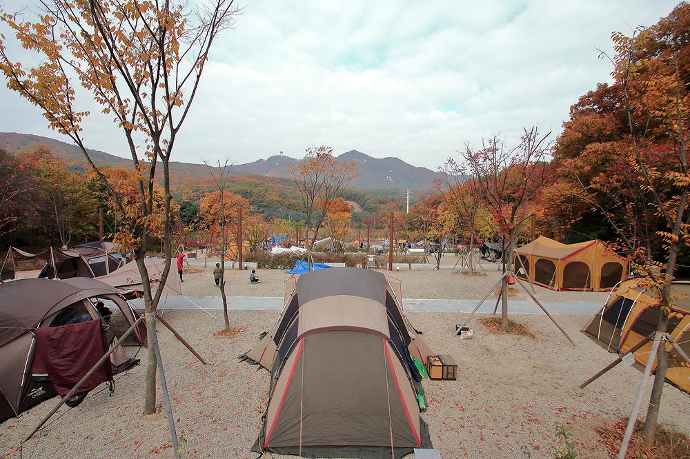 경기도 군포시 초막골생태공원 느티나무야영장 소개