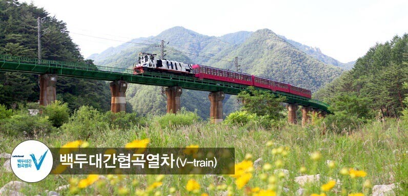 백두대간협곡열차