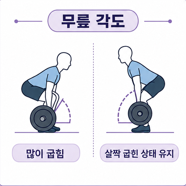 데드리프트 무릎 각도 비교, 많이 굽히는 방식과 살짝 굽힌 각도를 유지하는 방식을 옆모습으로 나타낸 도해