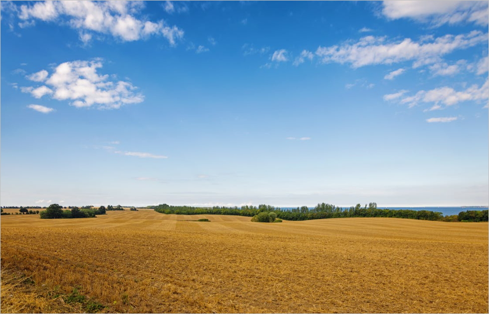 행정공제회 홈페이지 바로가기 및 행정공제회 회원가입 방법 
