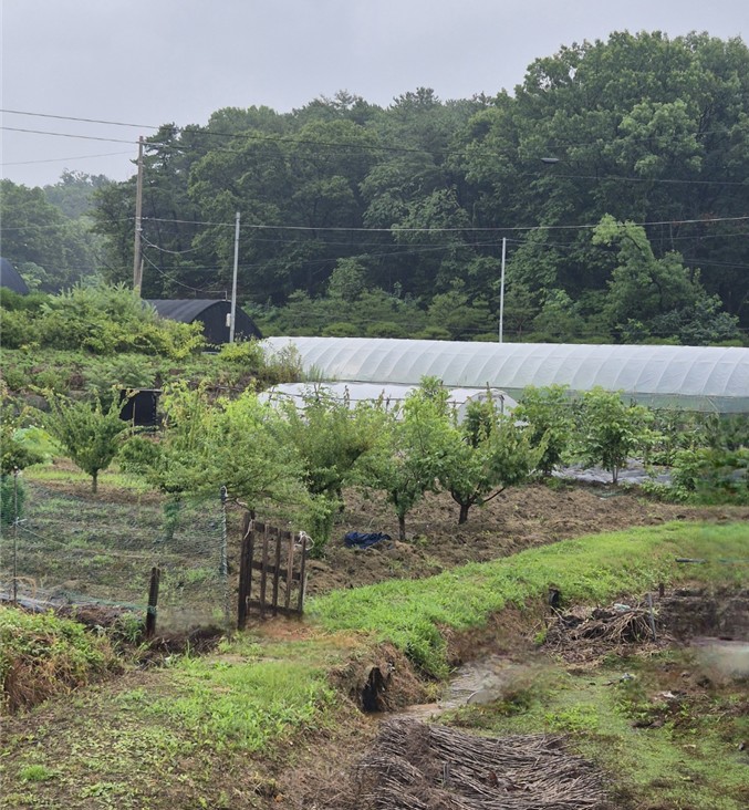 부모님에게 물려받을 농지 세금 관련