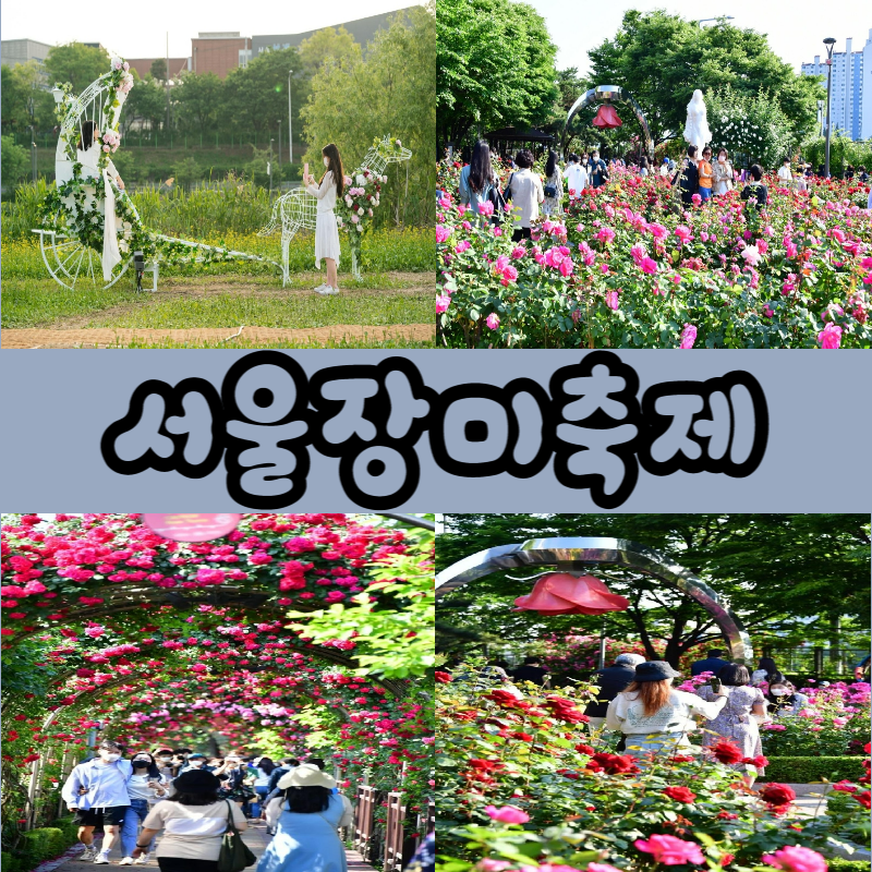서울장미축제