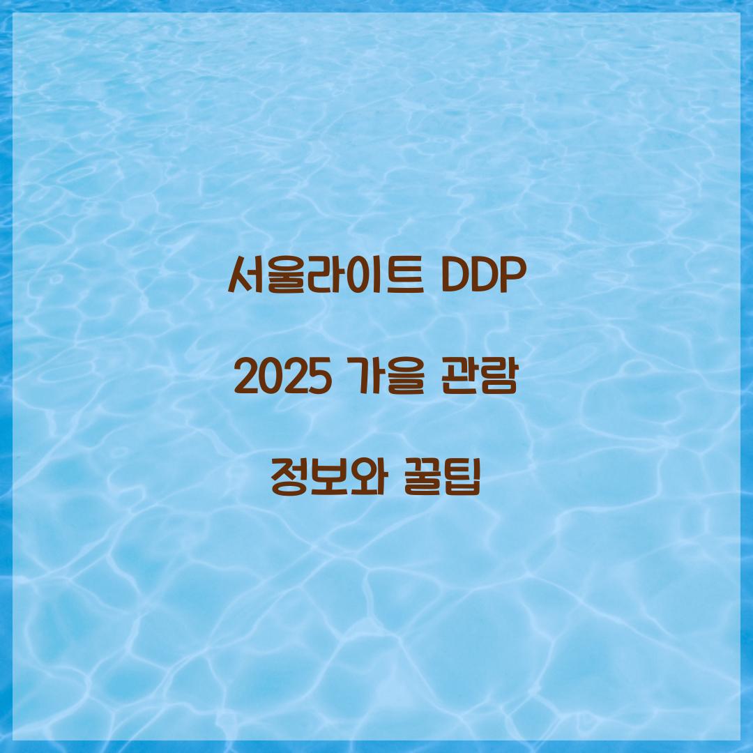 서울라이트 DDP 2025 가을