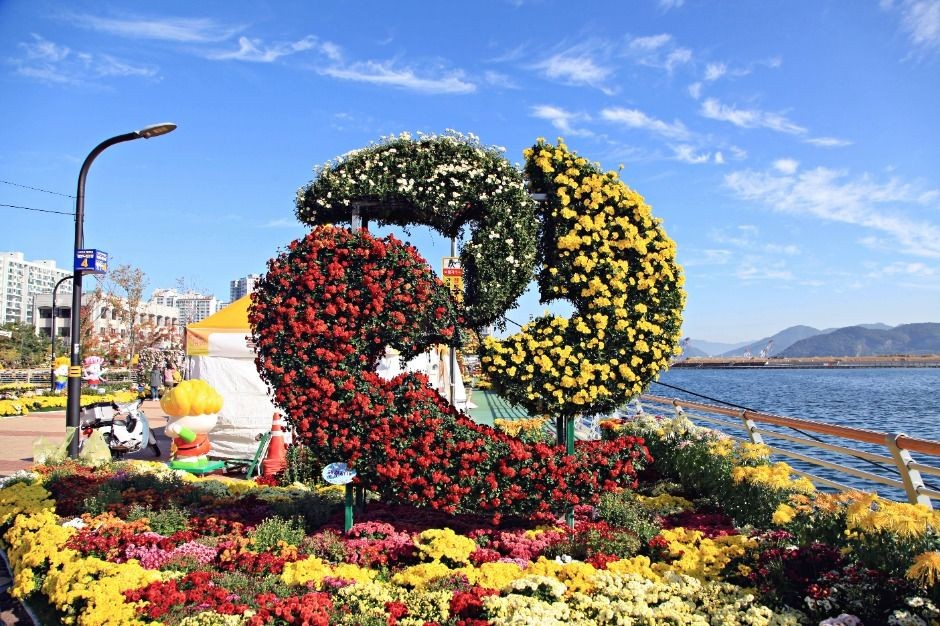 2025 제25회 마산 가고파 국화축제 ❘ 일정&middot;장소&middot;불꽃쇼&middot;볼거리 완벽 가이드 관련 사진