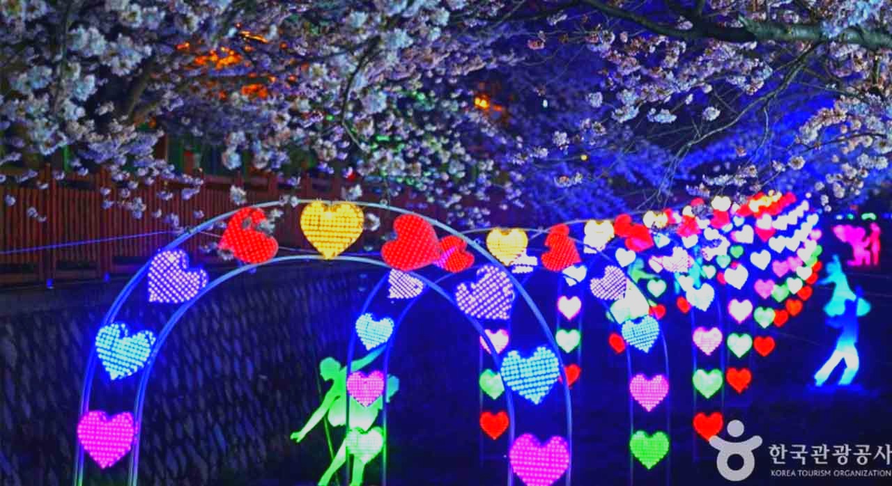 진해 여좌천을 따라 늘어선 벚꽃터널 아래 걷는 사람들. [ⓒ대한민국 구석구석]