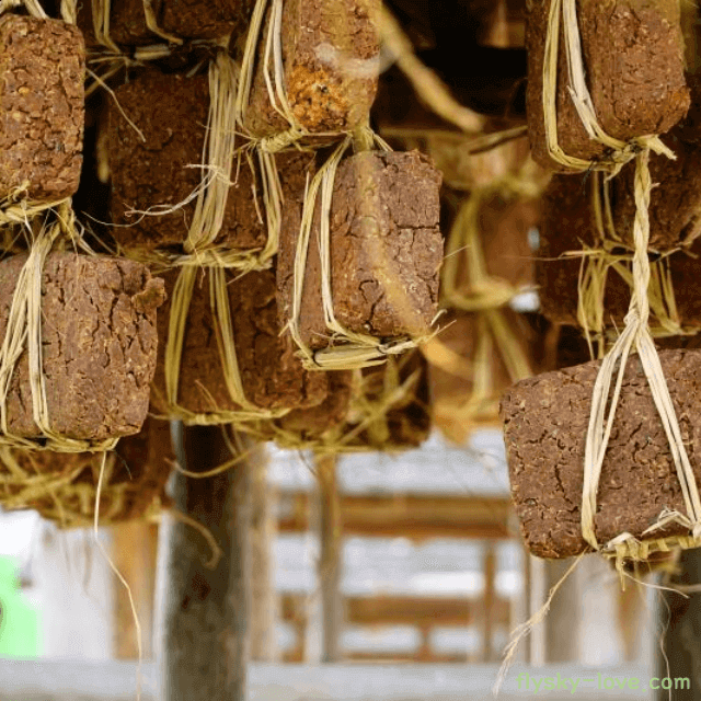 면역력 강화에 탁월한 된장