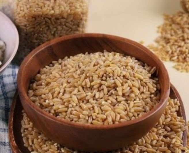 카무트 효소 먹는 법 완벽 가이드 - 효능·섭취 타이밍·주의사항