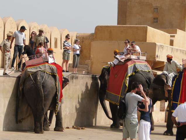 치앙마이 코끼리 투어