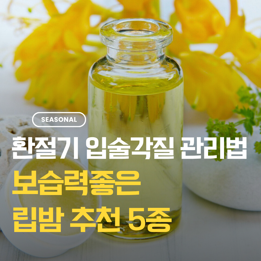 입술 각질 관리 및 립밤 제품 추천
