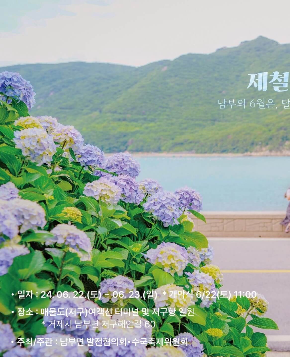 거제 저구항 수국축제