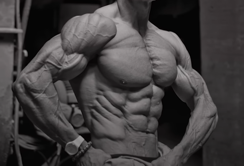 가슴 근육 이미지