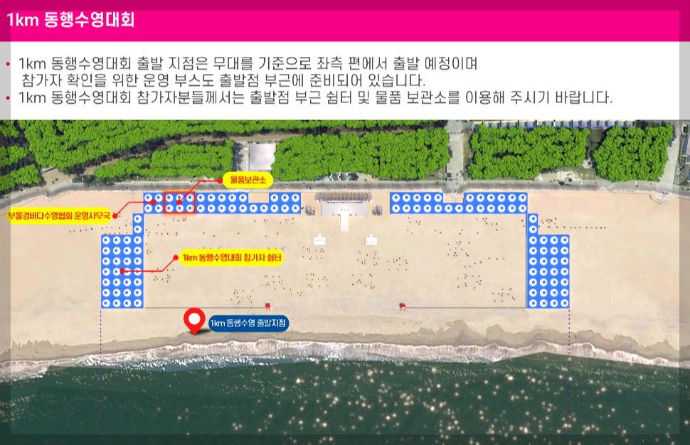 해운대 북극곰축제