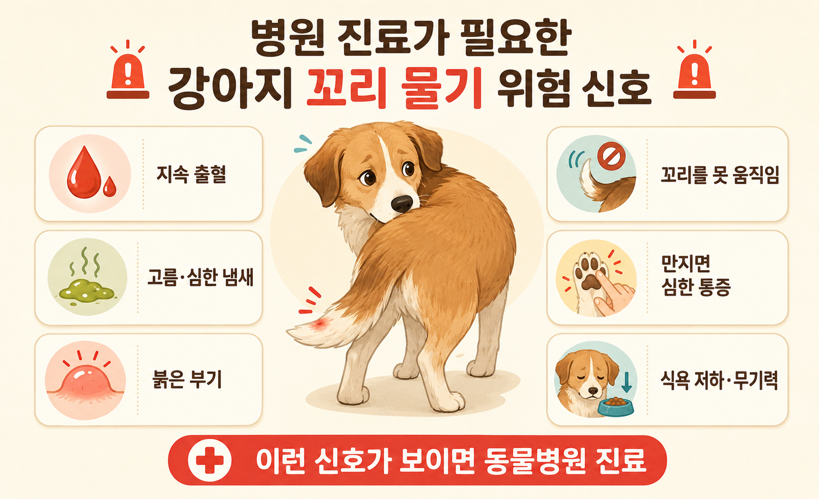 강아지 꼬리 물기 후 출혈과 고름, 심한 통증 등 병원 진료가 필요한 위험 신호를 설명하는 이미지