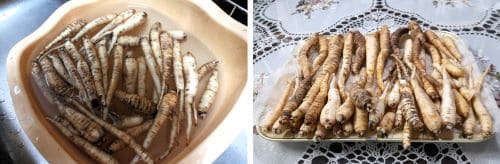 더덕주-담그기-담그는법-더덕-손질하기